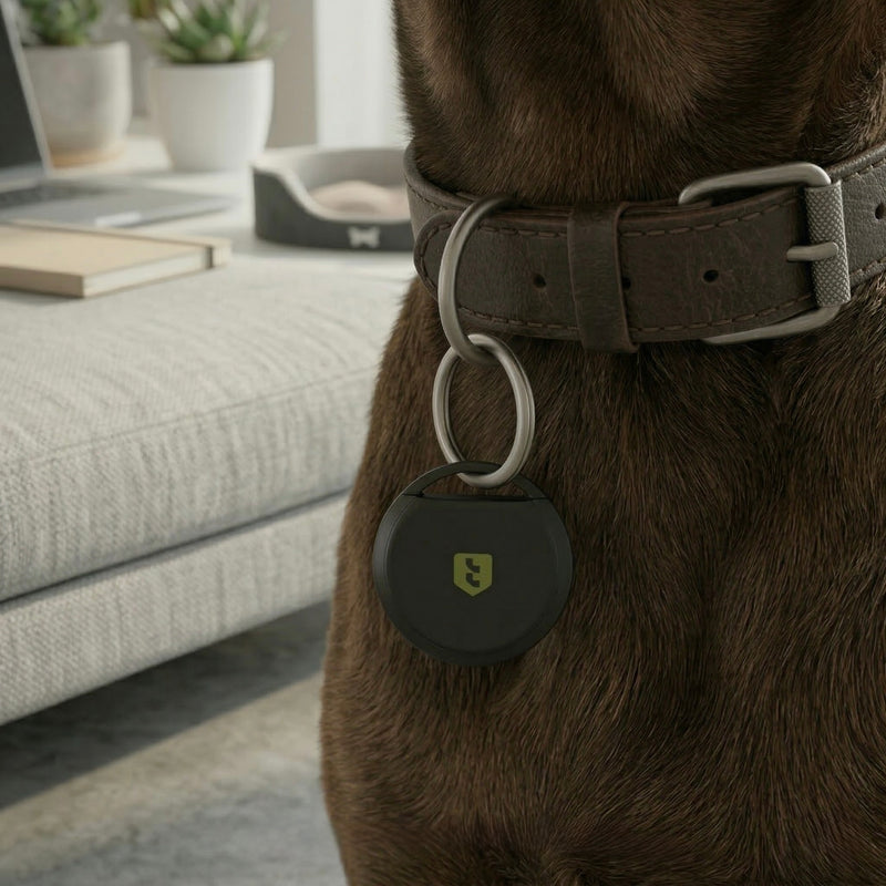 Thinlok Smart Tag