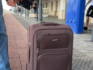 Utazás közben mindig aggódsz – helyzet GIF